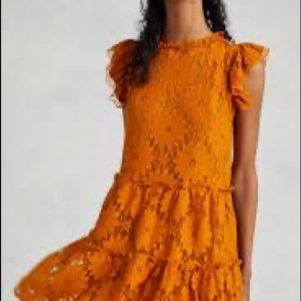 Anthropologie Blue Tassel Tiered Lace Tunic Dress